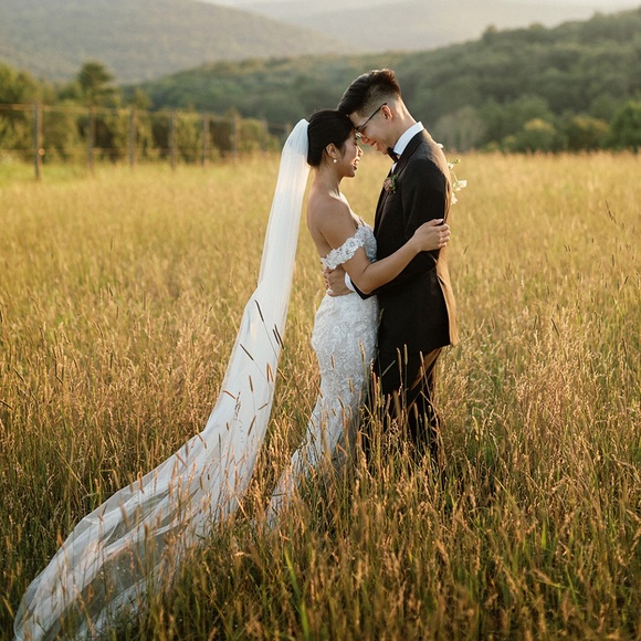 BHLDN Wtoo by Watters Bettina Strapless Corset All-Over Lace Wedding Gown - Picture 5 of 9